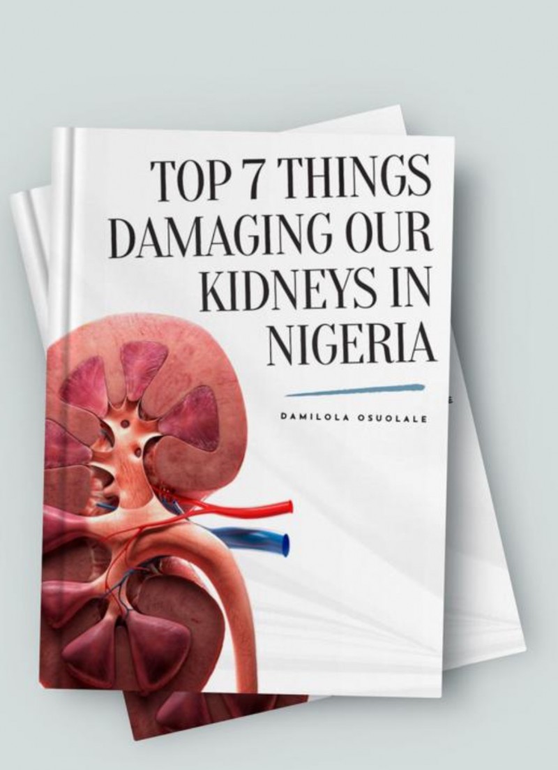 Top 7 Things Damaging Our Kidneys in Nigeria