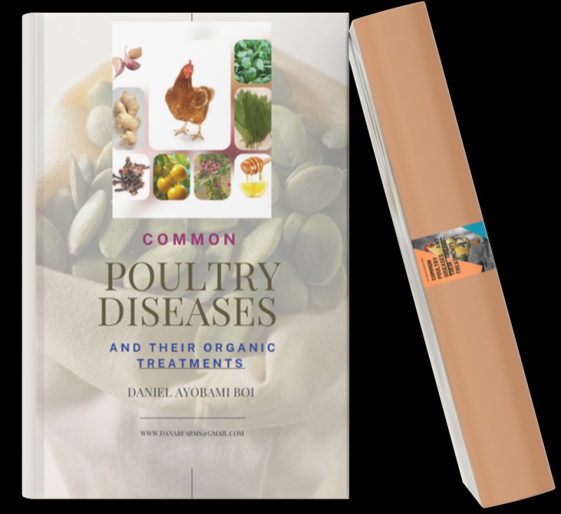 Common poultry disease and their organic treatments