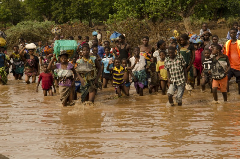 Professional Certificate in Disaster Management