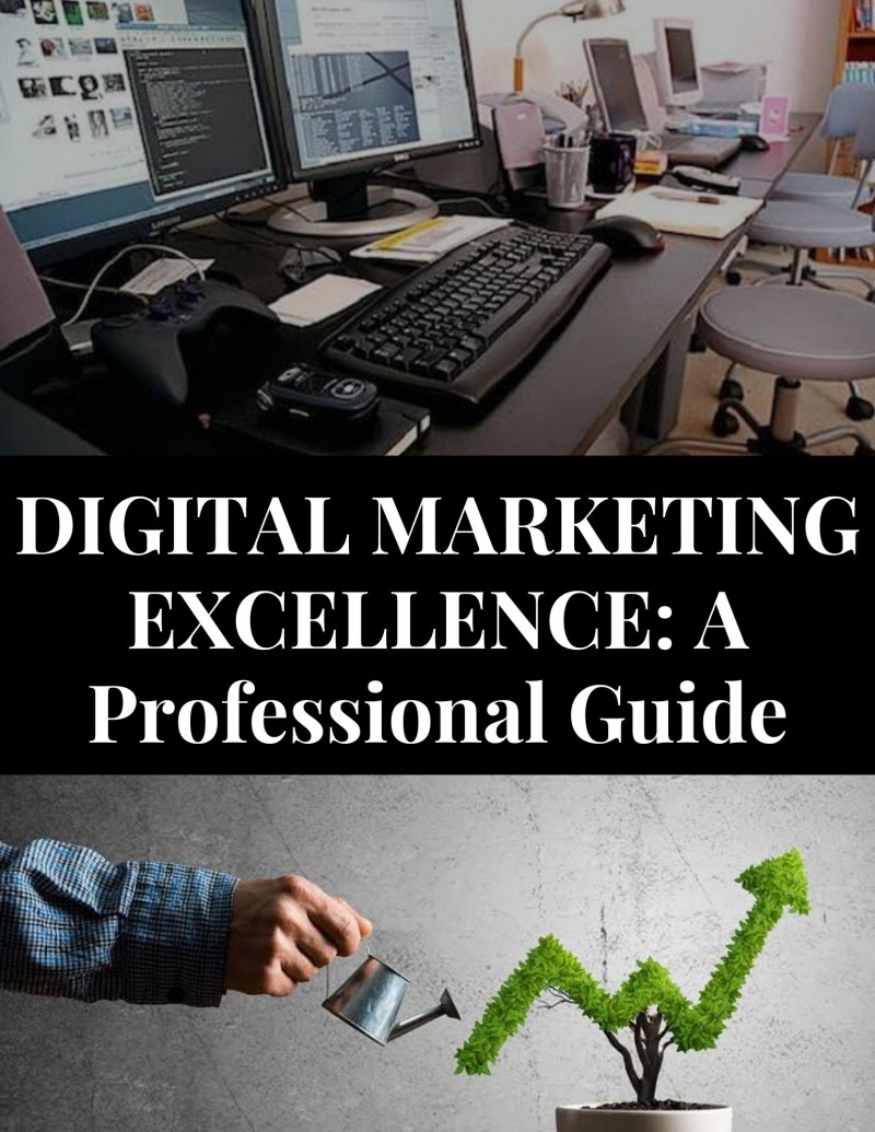 DIGITAL MARKETING EXCELLENCE:- A Professional Guide