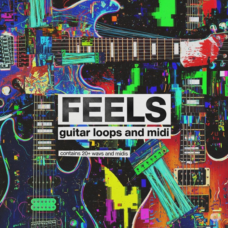 FEELS Guitar Loop & Midi