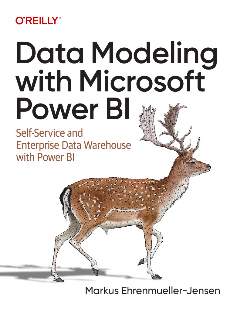 Data Modeling with Microsoft Power BI Self-Service and Enterprise