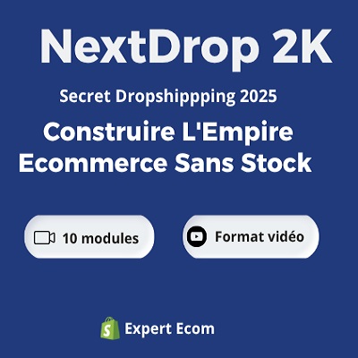 Lancez Votre E-commerce et Atteignez 1Million En 30 Jours en partant de 100€