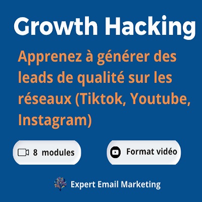 Formation En Growth HACKING : Multipliez Vos Resultats Sur Les Réseaux Sociaux En Moins DE TEMPS !