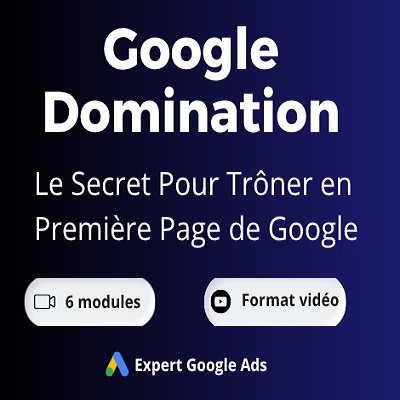 Google Ads Mastery – Comment Exploser Vos Ventes Avec Google Seach, Google Shopping  Et Display