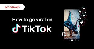 TikTok for Business: How to Use TikTok Marketing to Make Your Business Go Viral