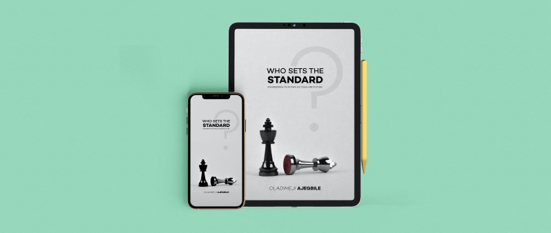 Who Sets The Standard: Engineering Your Own Success and Future - eBook