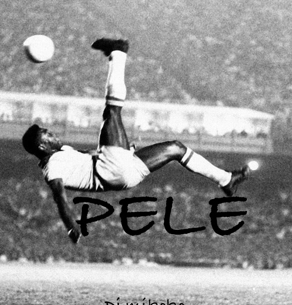 PELE