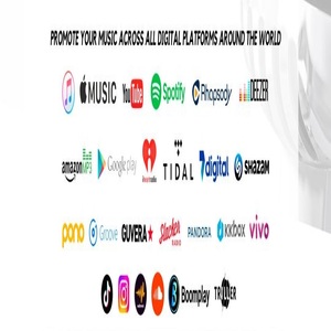 MUSIC DISTRIBUTION (DO IT YOURSELF)