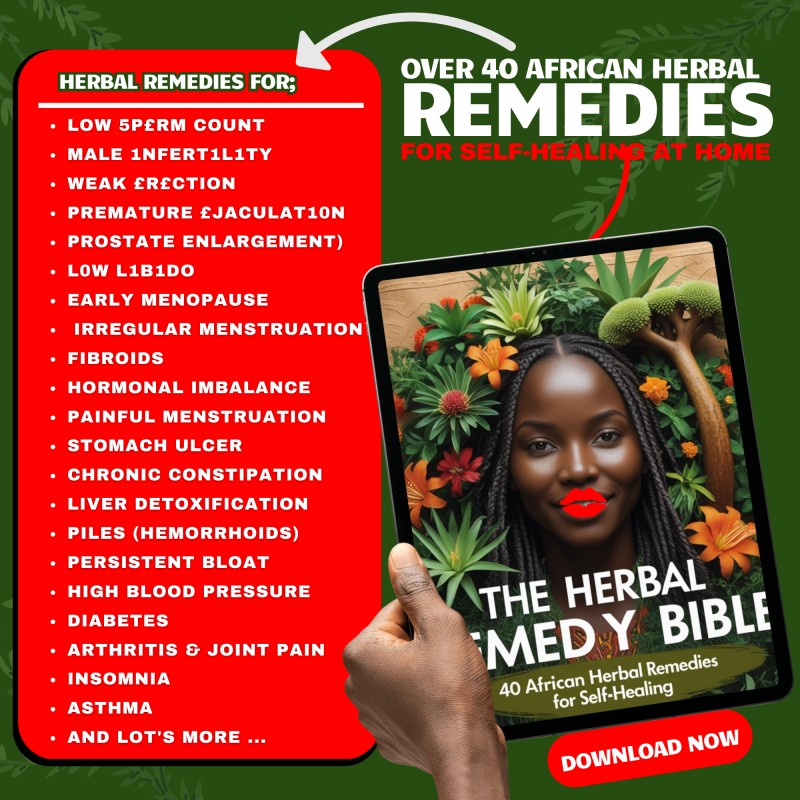 THE HERBAL REMEDY BIBLE  (40 African Herbal Remedies for Self-Healing)