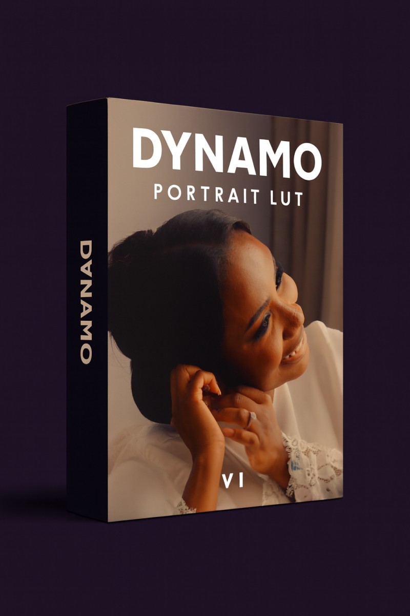 DYNAMO PORTRAIT LUT V1