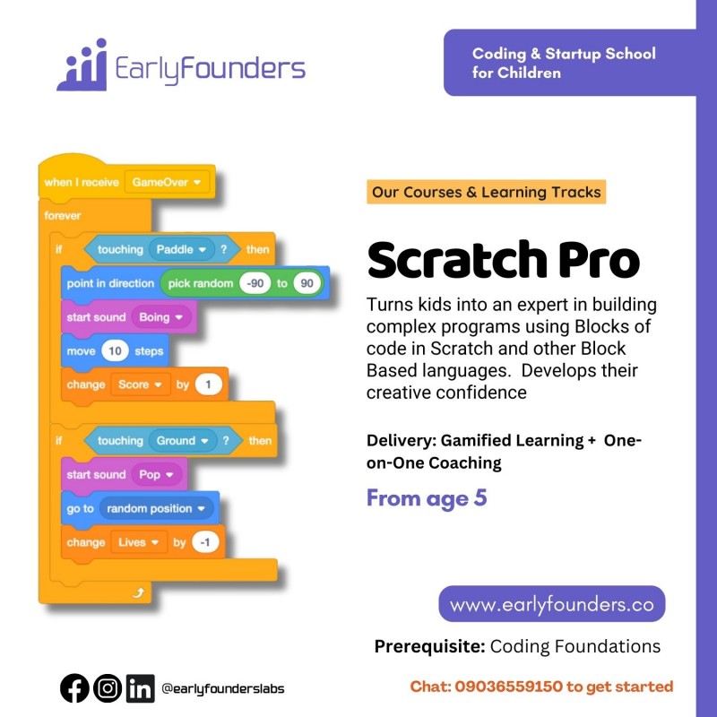 Scratch Pro