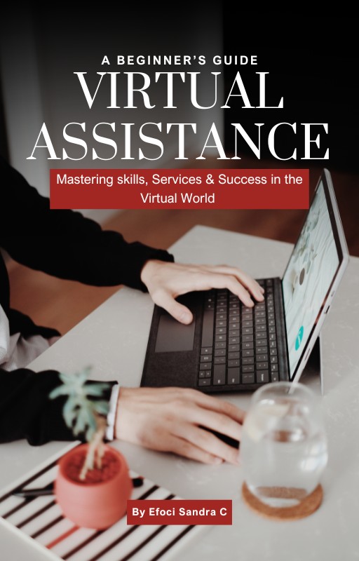The Virtual Assistant Success Guide: From Beginner to Pro