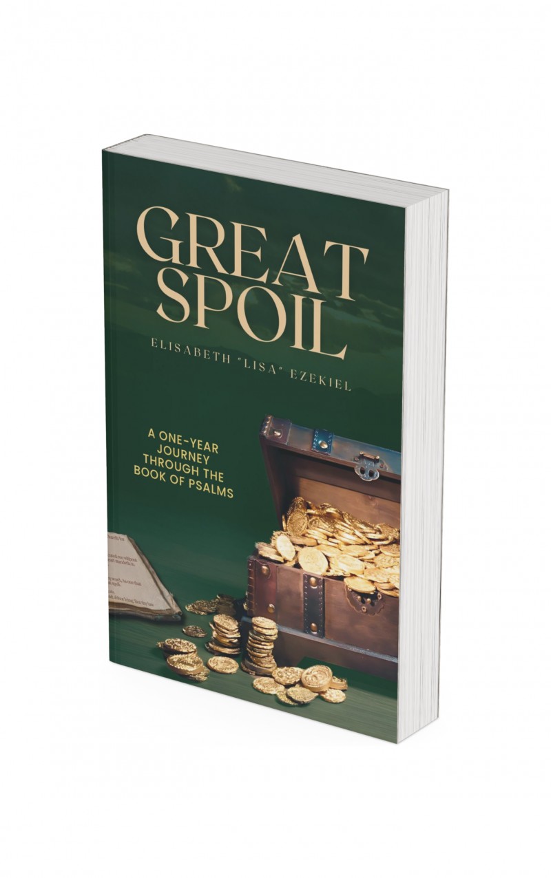 Great Spoil (paper back)
