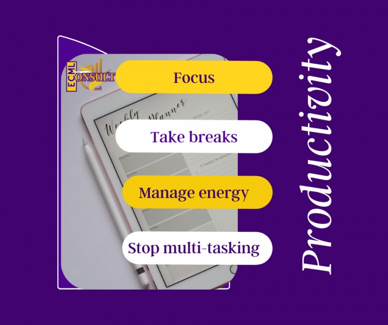 ECML Consult's Productivity Planner