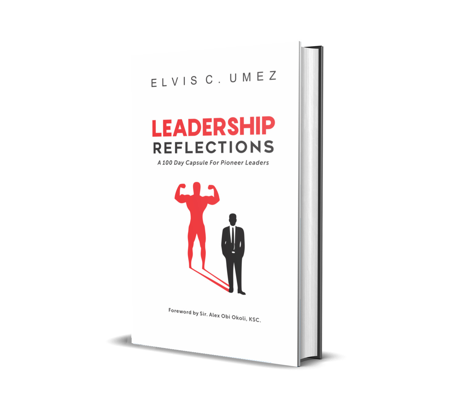 Leadership Reflections: A 100 Day Capsule for Pioneer Leaders By Elvis C. Umez