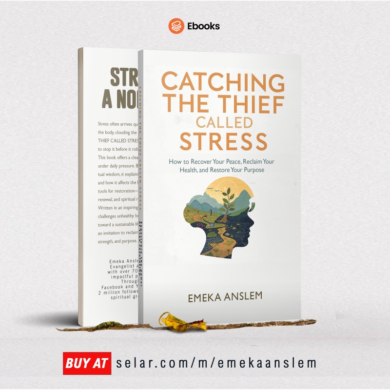 CATCHING THE THIEF CALLED STRESS - EMEKA ANSLEM