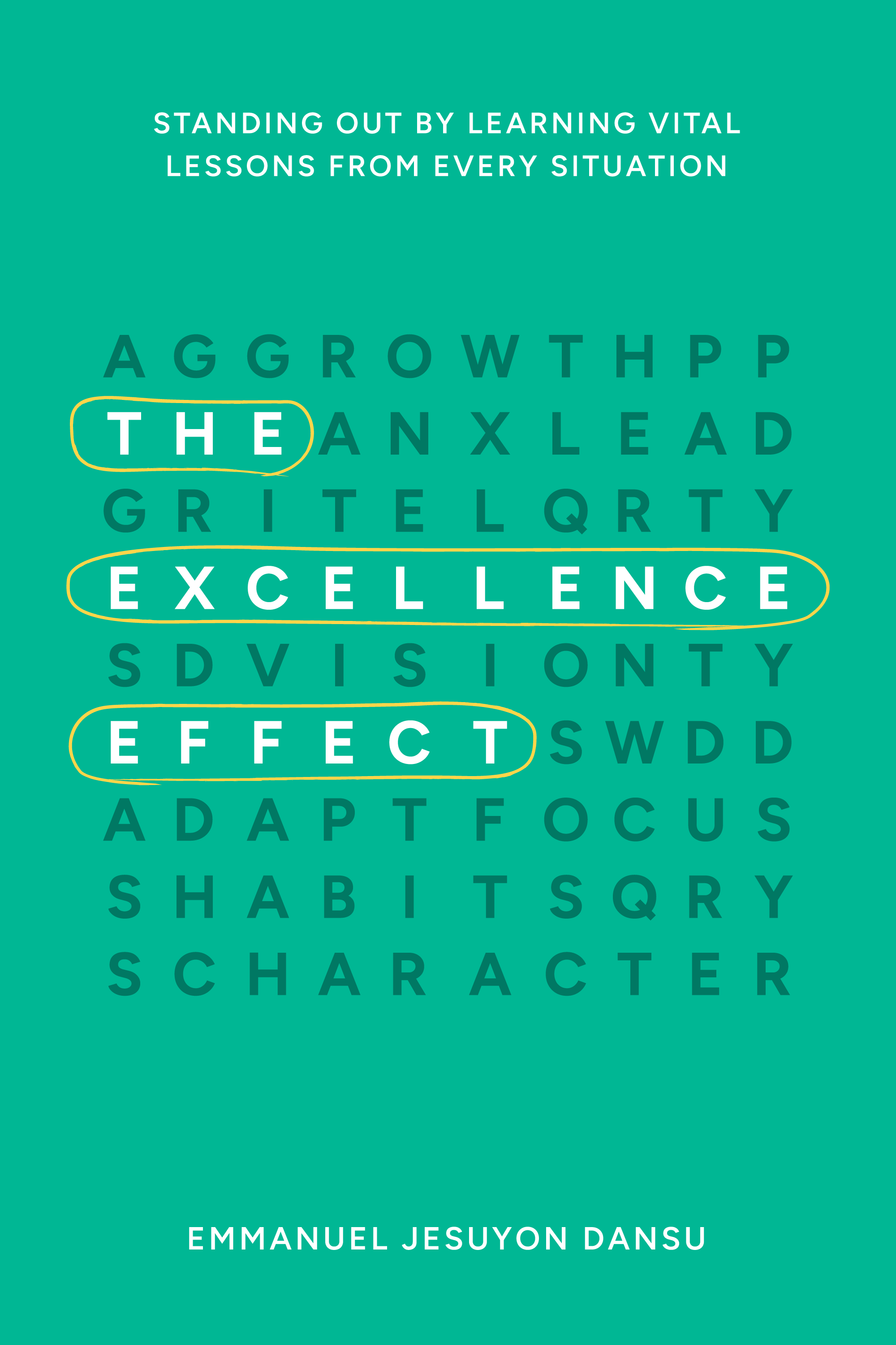 The Excellence Effect: Standing Out by Learning Vital Lessons from Every Situation
