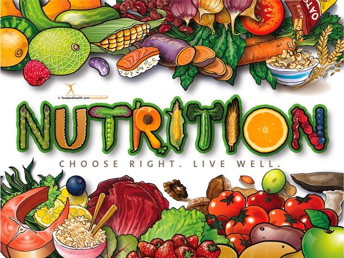 Food Nutrition