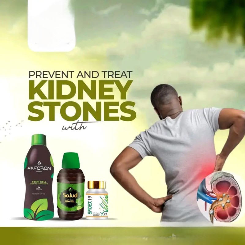 Faforon, Salud and Spidex 19 for Kidney Stone