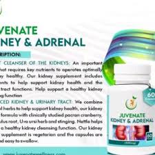 Juvenate Kidney and Adrenal