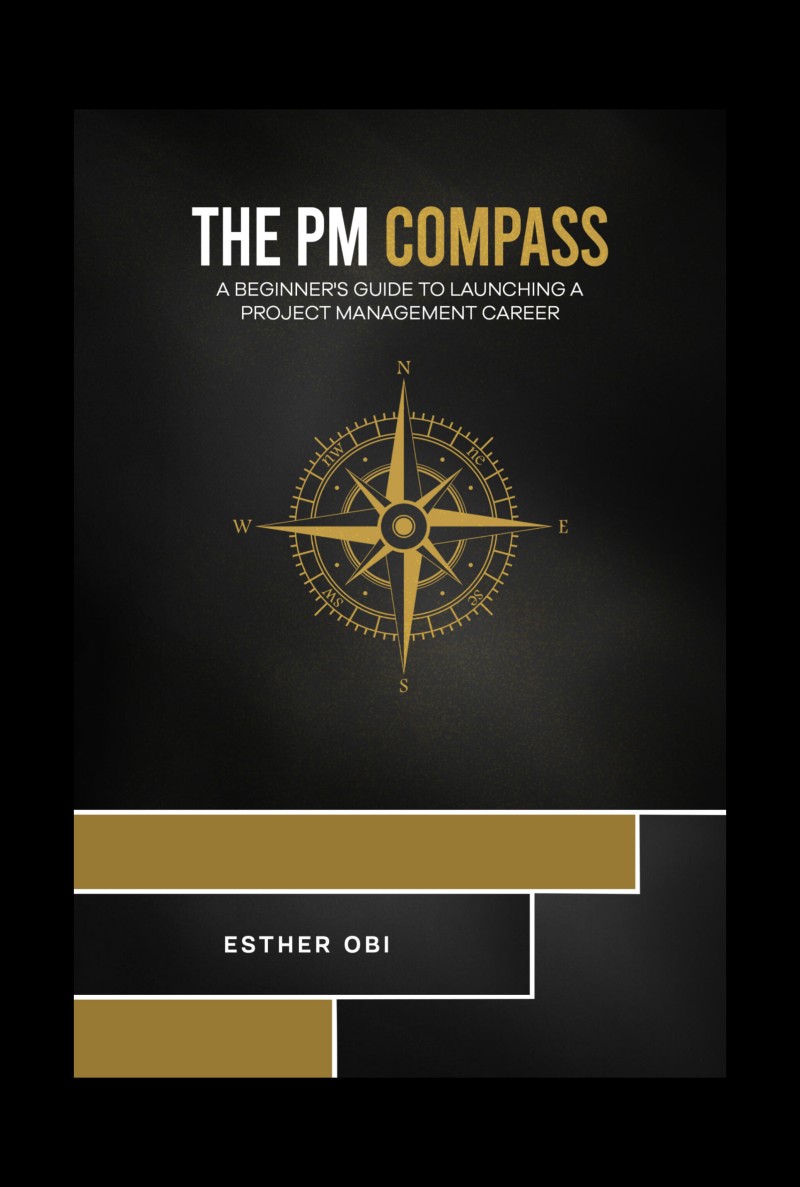 Get THE PM COMPASS by Esther Obi on Selar