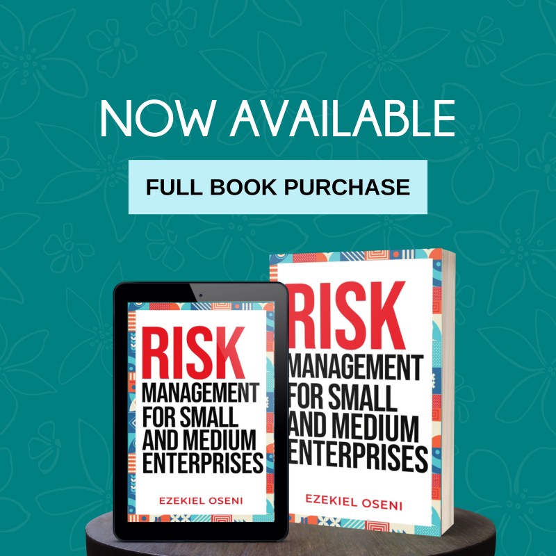Risk Management for Small and Medium Enterprises (full book)
