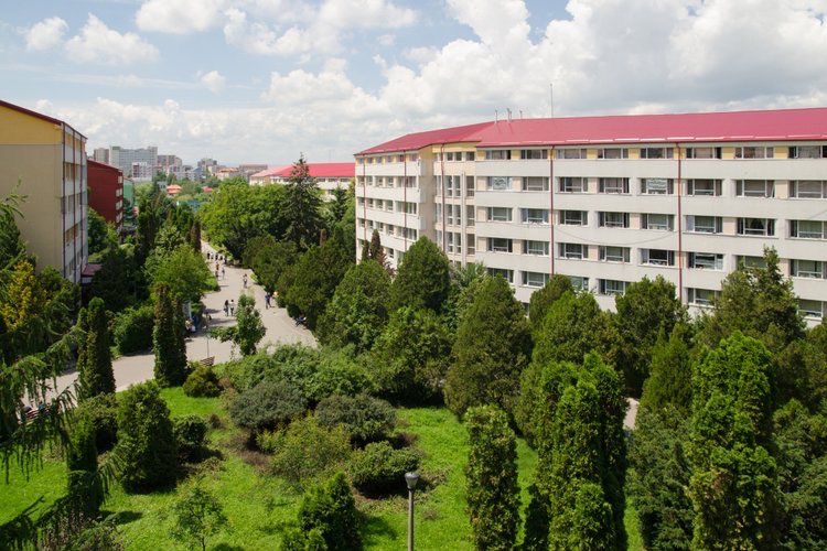 One on One consultation about your study abroad journey
