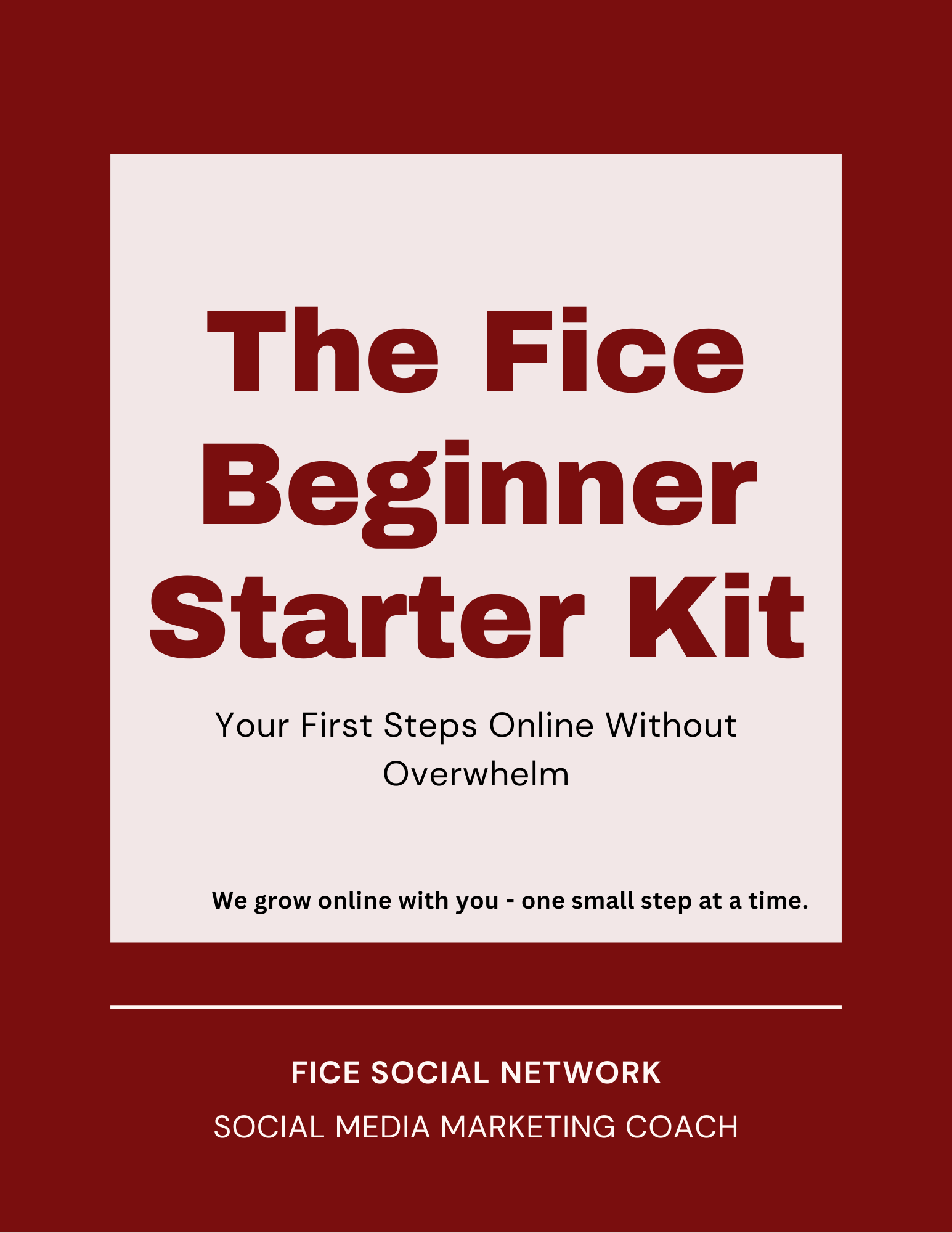FICE BEGINNER STARTER KIT