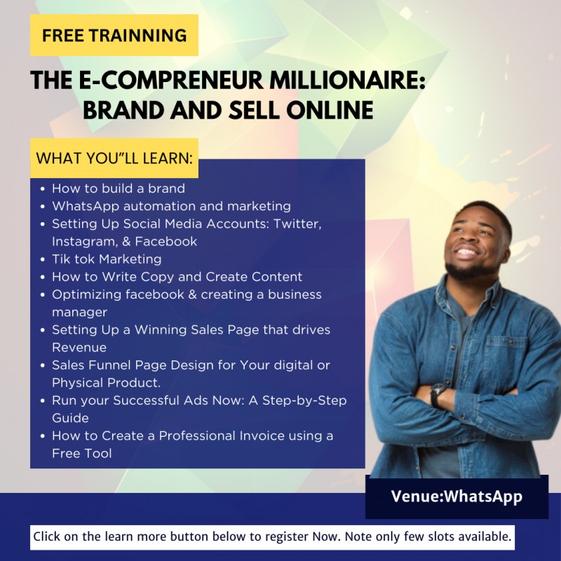THE E-COMPRENEUR MILLIONAIRE: BRAND & SELL ONLINE