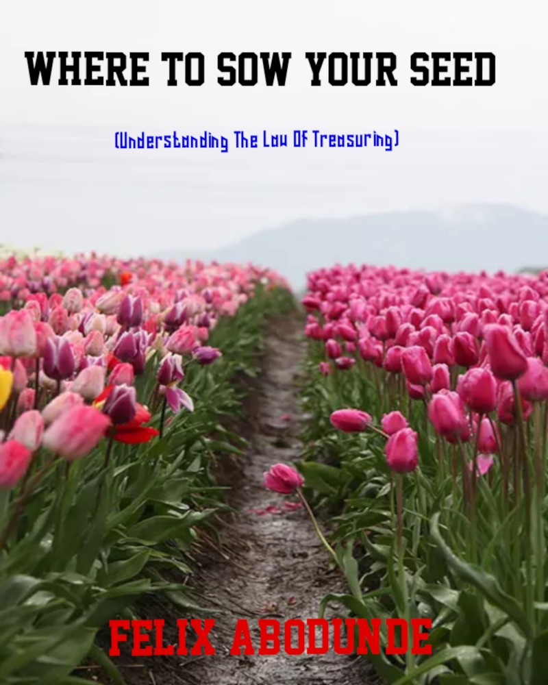 WHERE TO SOW YOUR SEED