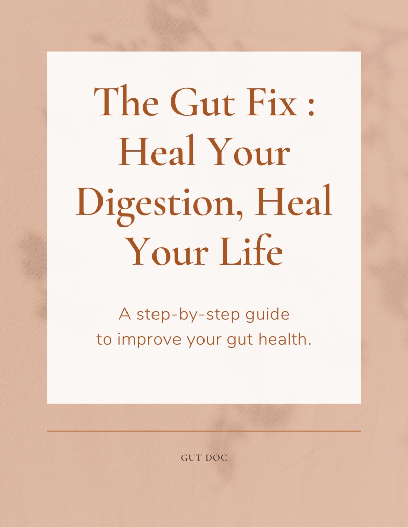 The Gut Fix : Heal Your Digestion, Heal Your Life