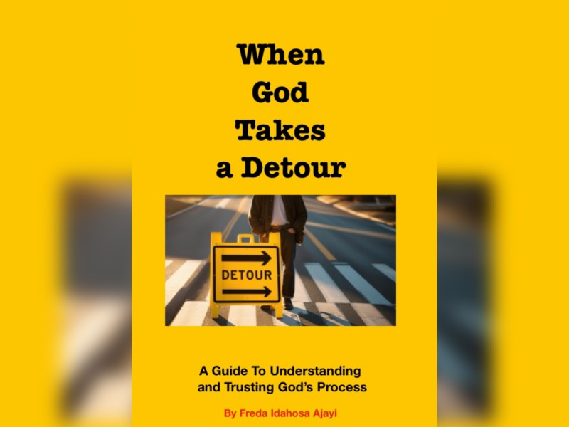 When God Takes a Detour (Guide)