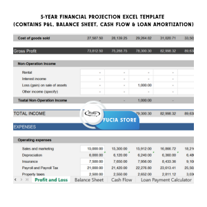 5-year Projected Financial Statements