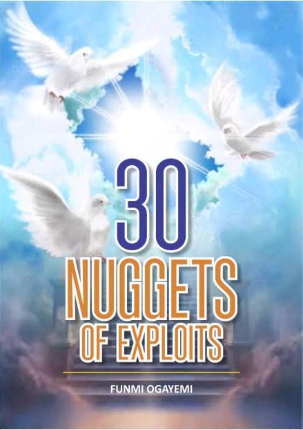 30 Nuggets of Exploits