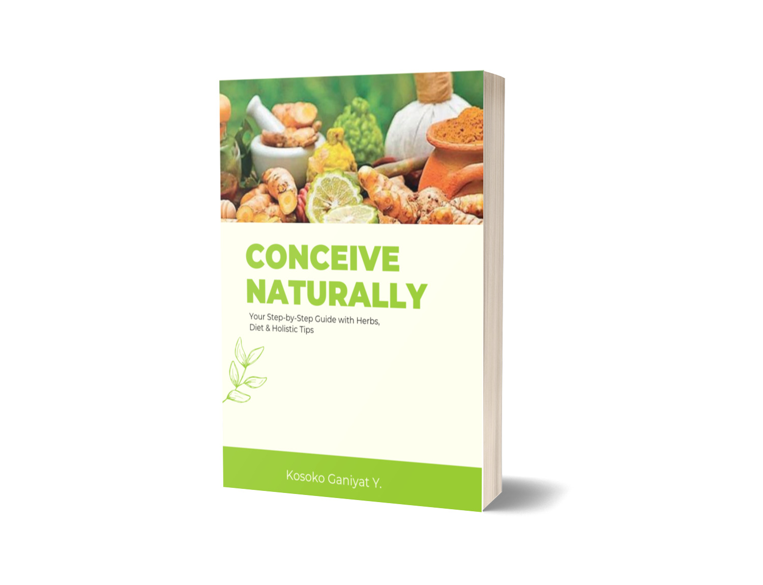 Conceive Naturally: The Herbal Fertility Restoration Guide