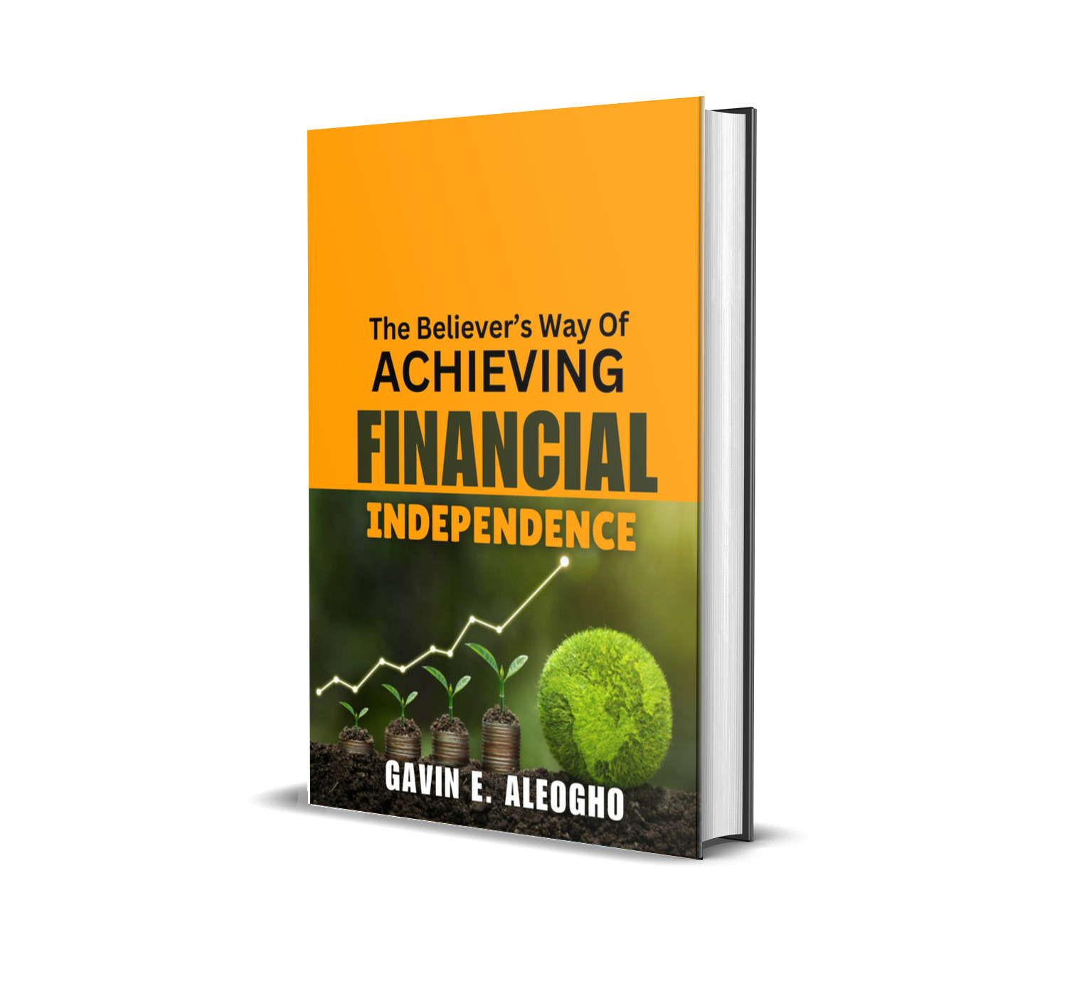 THE BELIEVER'S WAY OF ACHIEVING FINANCIAL INDEPENDENCE