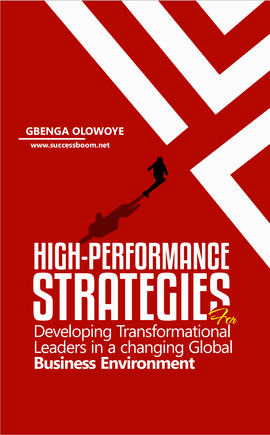 High-performance Strategies for Developing Transformational Leaders in a changing Global Business Environment