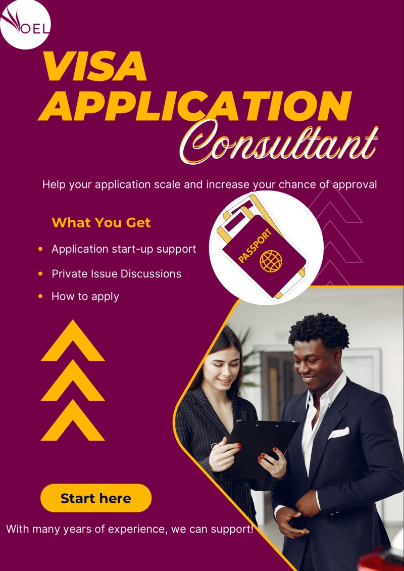 VISA APPLICATION CONSULTANT