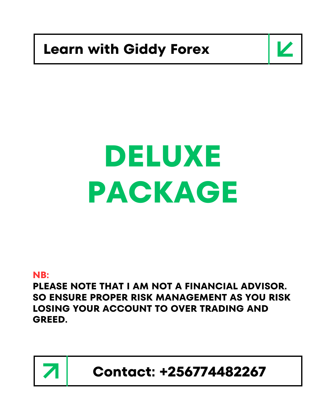 Deluxe Mentorship Package – $180/month