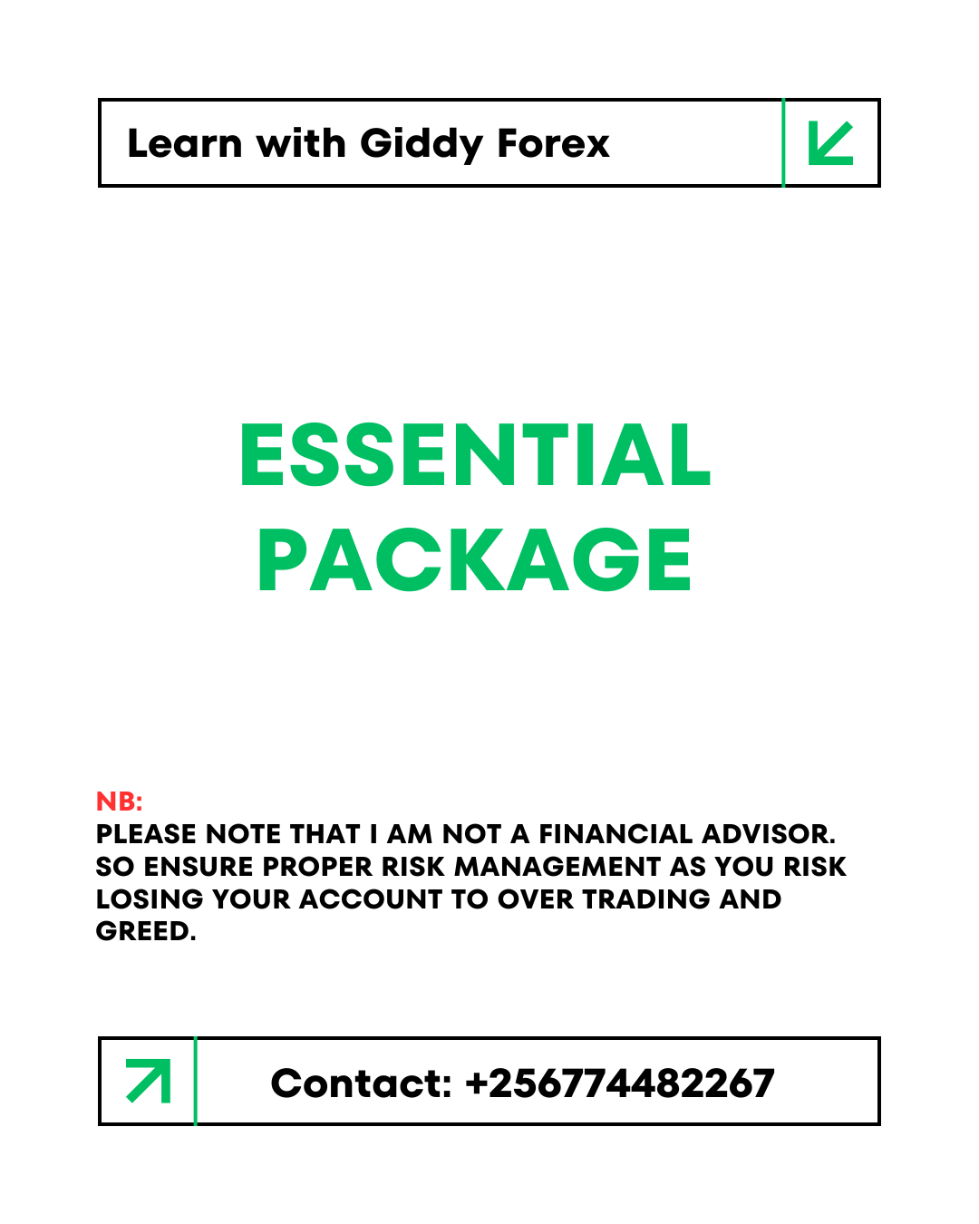 Essential Mentorship Package – $100/month
