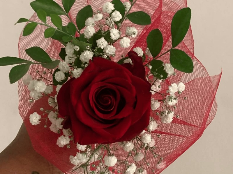 Single Stem Red Rose