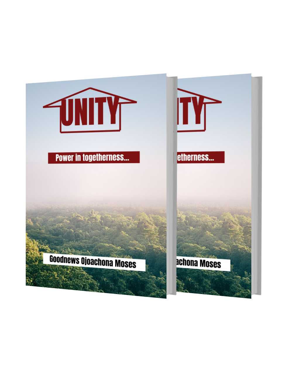 Buy Unity by Goodnews Moses on Selar