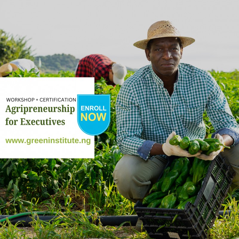 AgripPrenuership for Executives
