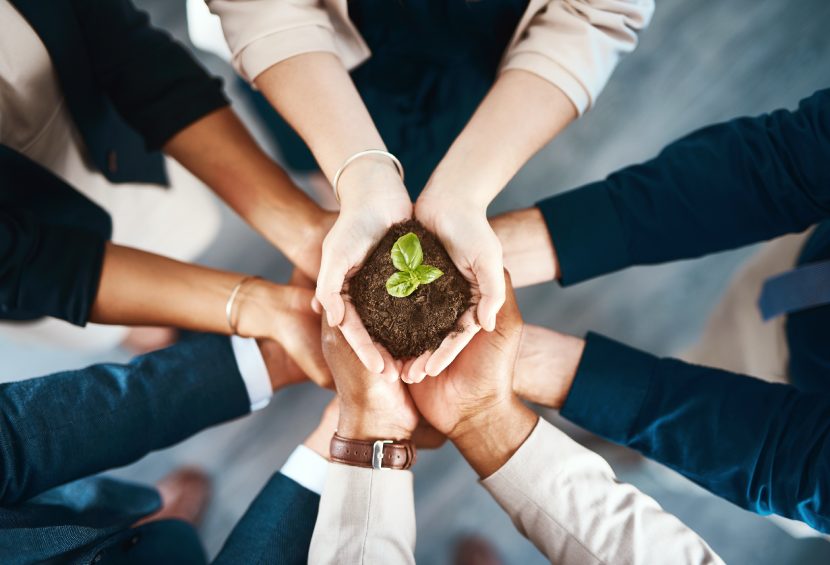 Sustainability, Leadership, Governance, and Policy