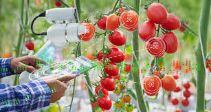 The Future of Food Sustainable Agriculture, Alternative Proteins, and AI-Driven Solutions