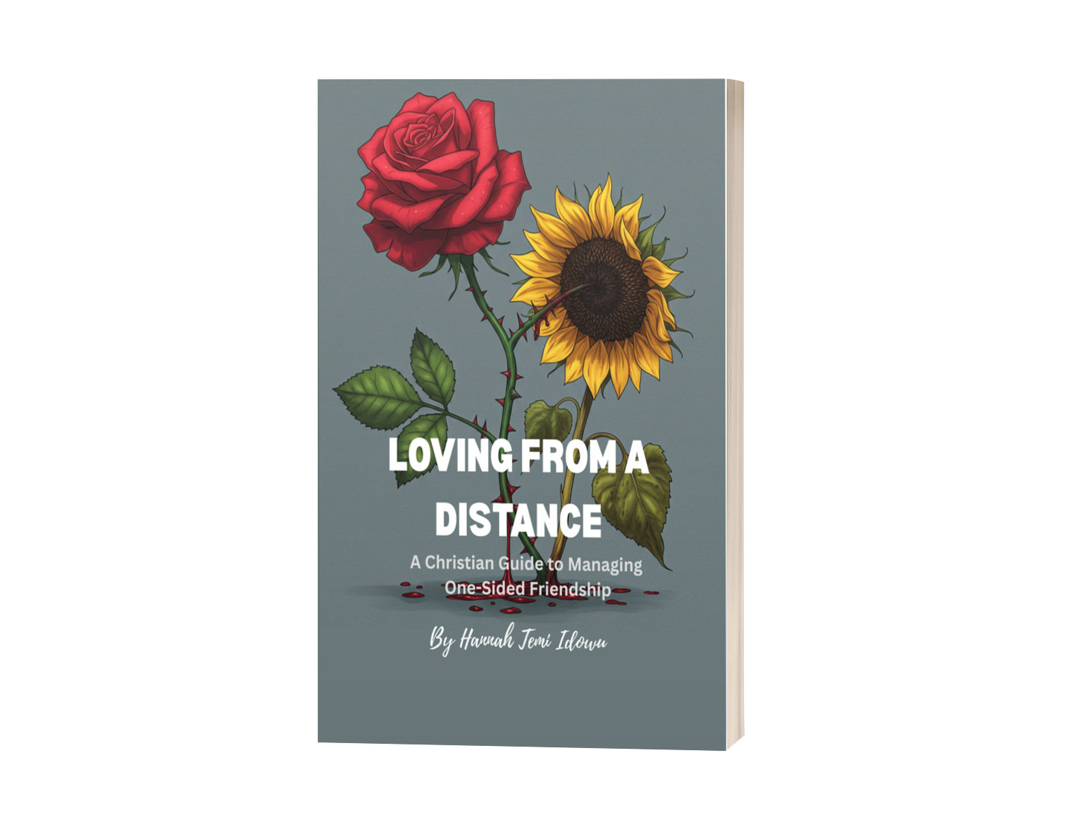 Loving From A Distance: A Christian Guide To Managing One-sided Friendship