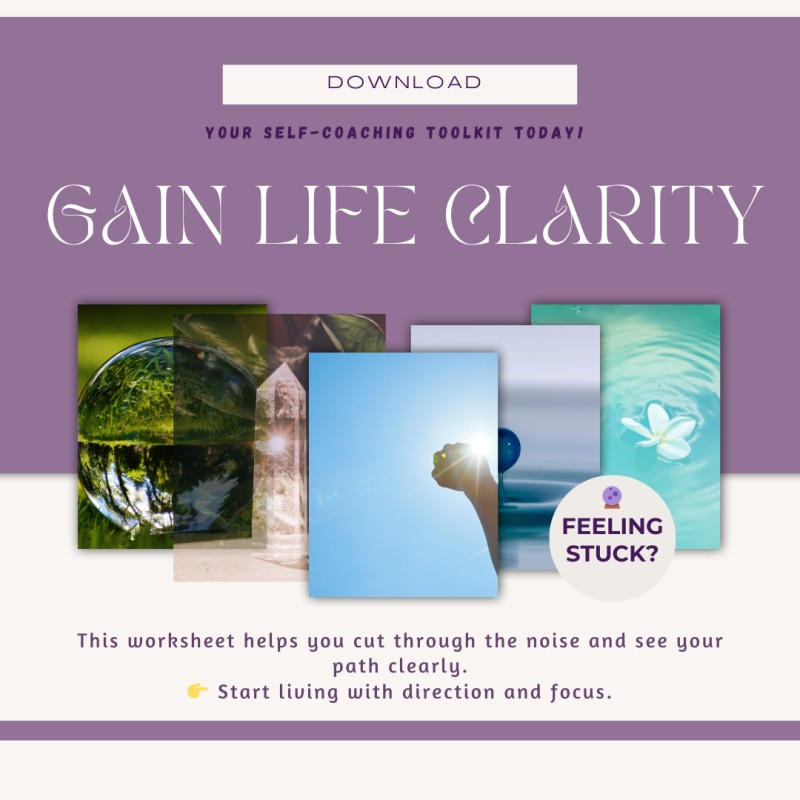 Life Clarity & Vision Wheel  Gain instant clarity on where you are vs. where you want to be in 8 key life areas.