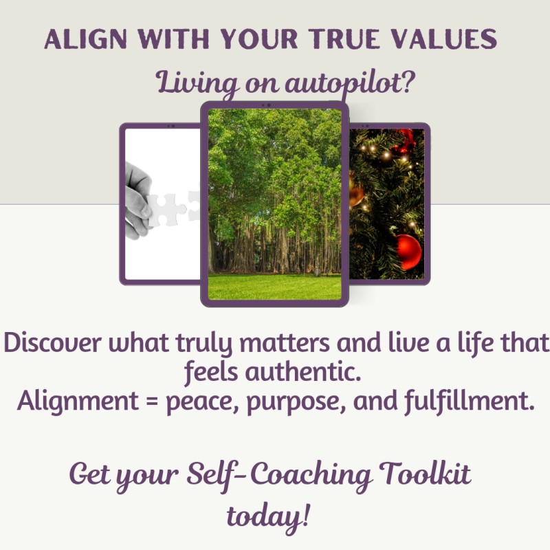 Values Alignment Map  Discover what truly matters and learn how to align your decisions and daily actions with your core values.