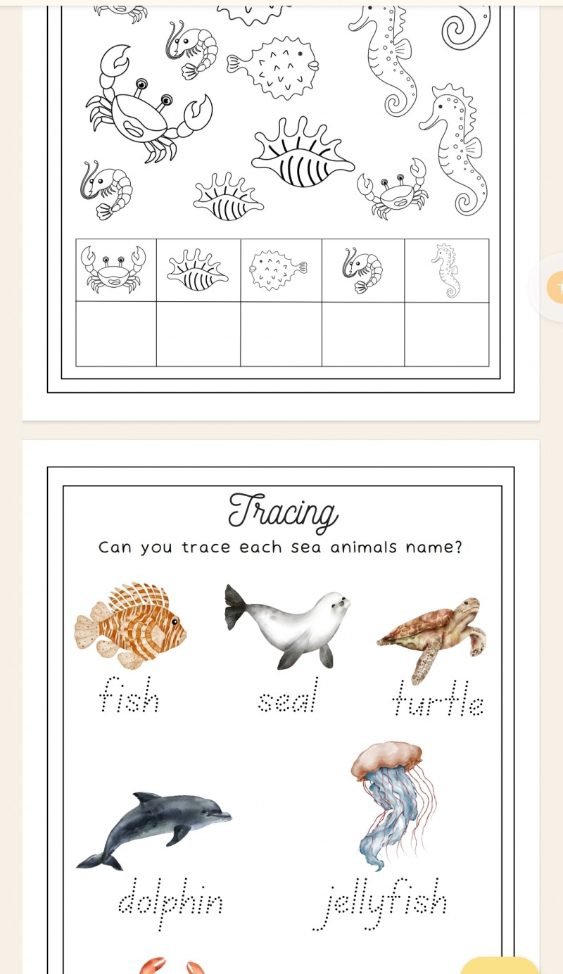 Early Years Ocean Themed Busy Book